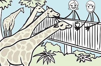 Zoo Zoo
